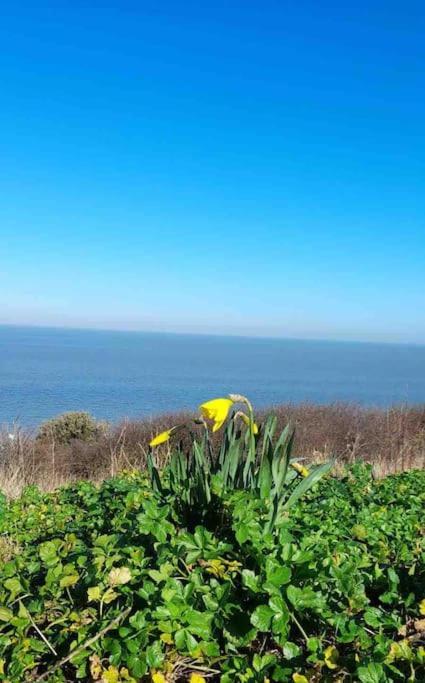 Herne Bay Central - 2 Minutes From Beach Apartment Zewnętrze zdjęcie